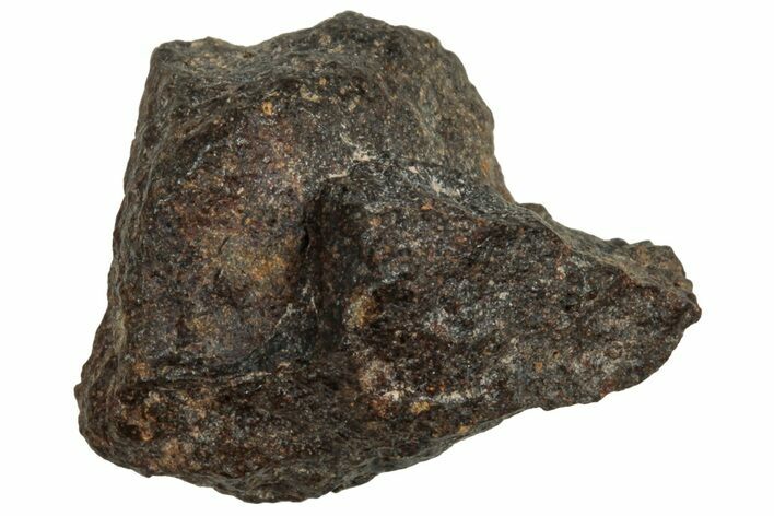 Carbonaceous Chondrite Meteorite ( g) - NWA #313781
